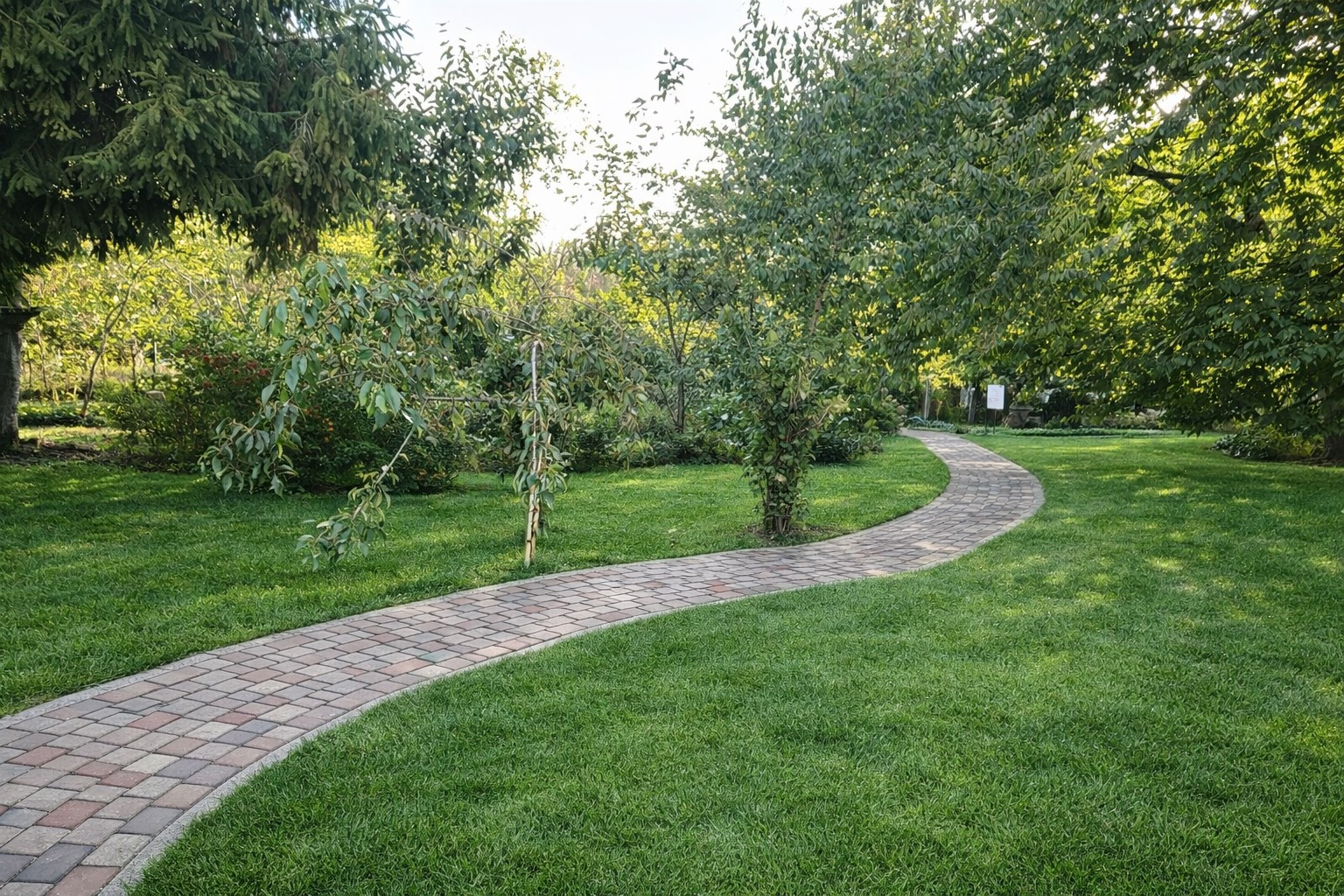 5CA44ABB 6634 4D8F 8BB8 C6A69147972E 1